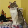 Отзыв от Софья Гусева